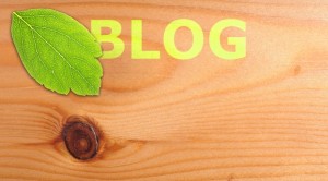 blog1 300x166 4 Reasons Business Blogging is Essential