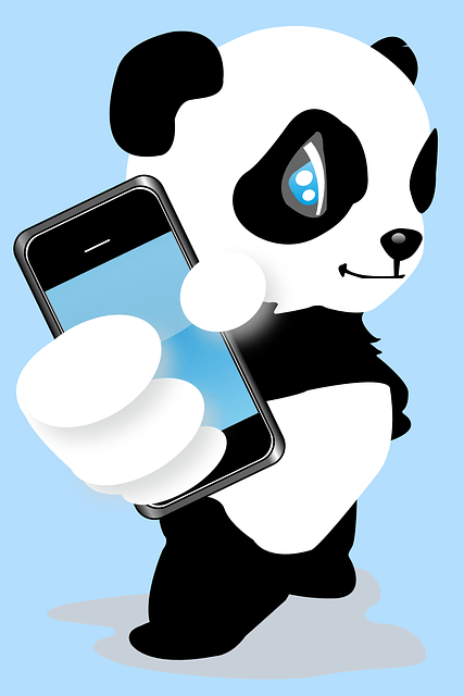 panda illustration Are You Protecting Your Website from These Google Updates